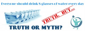 HHC_8 glasses_answer