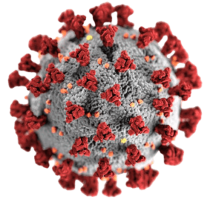 Coronavirus